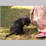 PICT0019.JPG