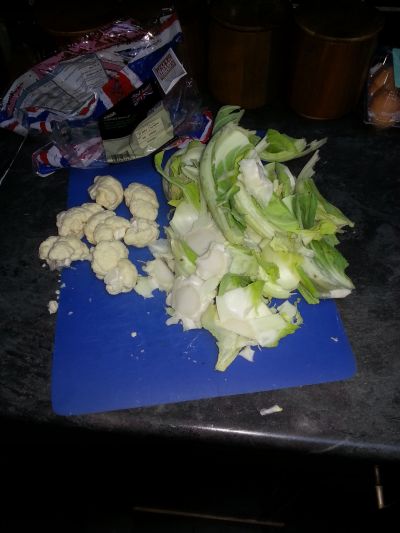 Picture of tiny cauliflower with huge leaves